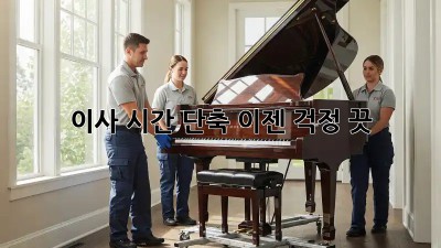 이사 시간 단축, 이젠 걱정 끗! 🤫