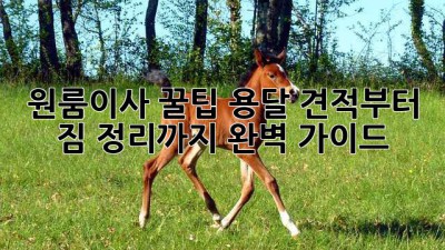 원룸이사 꿀팁🍯 용달 견적부터 짐 정리까지 완벽 가이드!