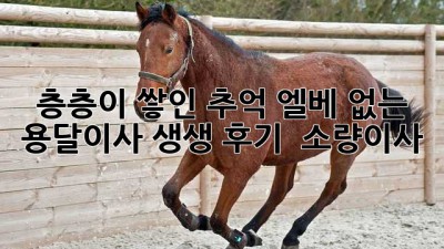 📦 층층이 쌓인 추억? 엘베 없는 용달이사 생생 후기 😥 #소량이사